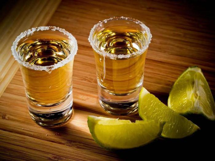 Tequila Olmekowska, jak odróżnić podróbkę