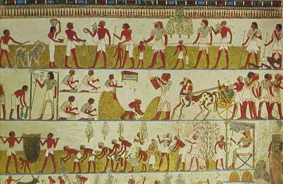 Starożytni rolnicy w Egipcie. Starożytny Egipt: rolnictwo